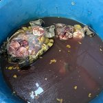 Photo taken by Todd M