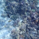 Photo taken by Dixie W