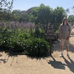 Emiliana Organic Vineyard | Photo taken by Melody B