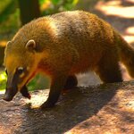 Photo taken by Dennis H