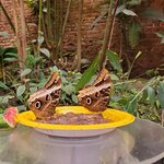 Photo taken by Steven P