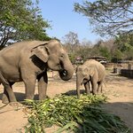 Photo taken by Pam B