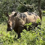 Photo taken by Michael L