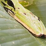 Photo taken by Blair H