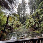 Photo taken by Mary B