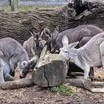 Photo taken by Daniel S