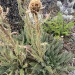 Photo taken by Michael L