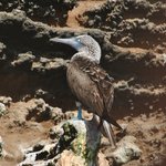 Photo taken by Natascia V