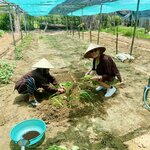 Photo taken by Jacqui O