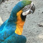 Photo taken by Randall D