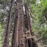 Photo taken by kirsten b