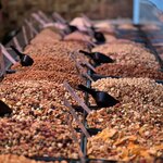 Photo taken by Martin D