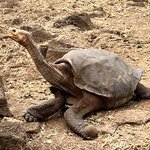 Photo taken by Carla C