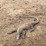 Photo taken by Jon P