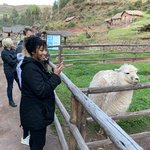 Photo taken by Mike B