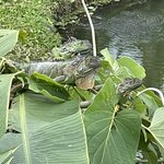 Photo taken by Jacqueline R