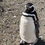 Photo taken by Marcia R