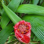 Photo taken by Kristy P