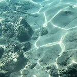 Photo taken by Jason C