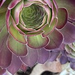 Photo taken by Doug A