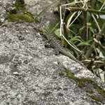 Photo taken by Emily F