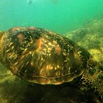 Photo taken by Elise C