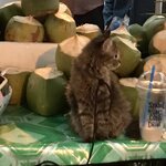 Photo taken by Shaula L