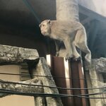 Photo taken by Shaula L