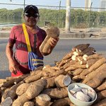 Photo taken by Todd M