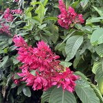 Photo taken by Trish G