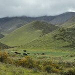 Photo taken by Donna W