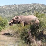 Photo taken by Linette B