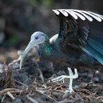 Photo taken by Matt W