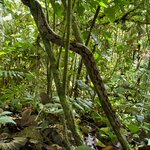 Photo taken by Sushma S