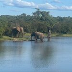 Photo taken by Crystall P