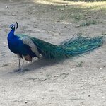 Photo taken by Michele R