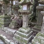 Photo taken by Norma M