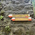 Photo taken by Christopher Paul T