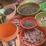 Photo taken by Ricky B