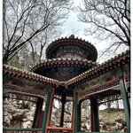 Photo taken by Fiona C