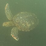 Photo taken by Ben S