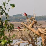 Photo taken by Sushma S