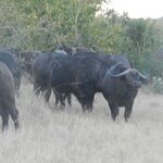 Photo taken by Linette B