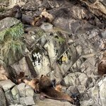 Photo taken by sam s