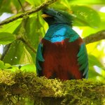 Photo taken by Darlene N