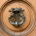 Photo taken by Narayani D