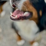 Photo taken by Sophie F