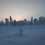 Photo taken by Anna P