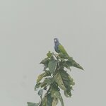 Photo taken by Breann B