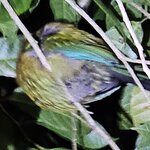 Photo taken by Mark S